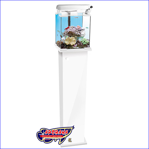     Aquael Shrimp Set.