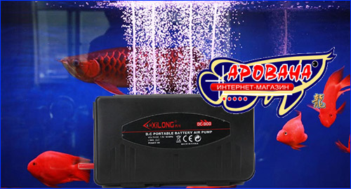 xilong-dc900