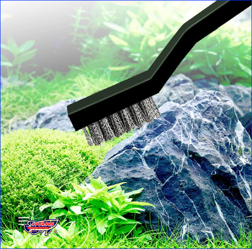   AQUAXER, Algae Cleaning S, 3 .