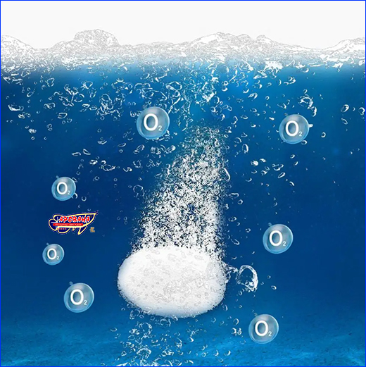  , AQUAXER O2 Tabs, 20 .
