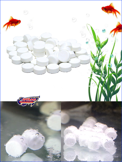  , AQUAXER O2 Tabs, 20 .