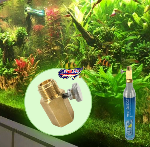  AQUAXER, SodaStream TR21-4 / W21.8,   .