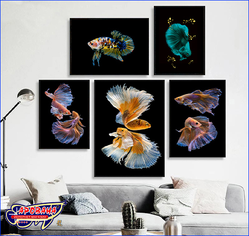  Betta fish, 2030 ,   .