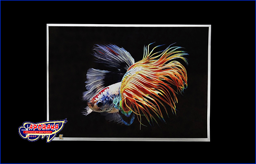 Петушок коронохвост мультиколор, 21х30 см. Картина Betta fish, 21х30 см, петушок коронохвост мультиколор.