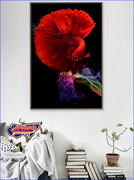 Глянцевая картина с бетта рыбкой в интерьере. Картина Betta fish, 80х60 см, петушок полумесяц красный.