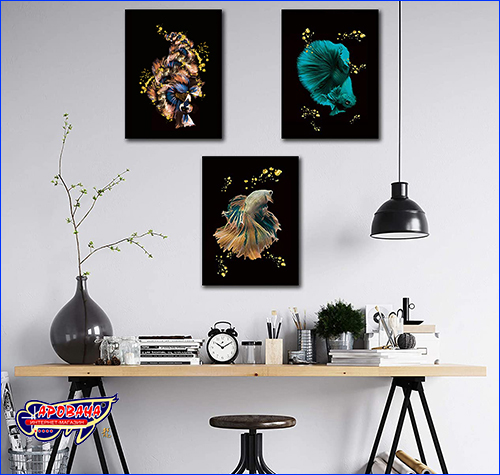  Betta fish, 4059.3 ,   .
