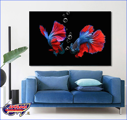 Картина Betta fish дополняет интерьер насыщенными и яркими красками. Картина Betta fish, 40х60 см, петушок дельта красно-синий.