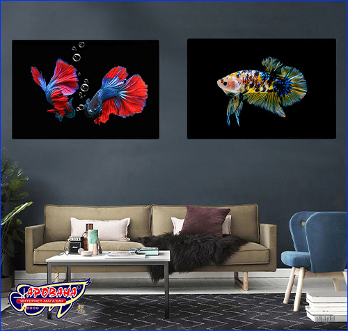 Яркая серия картин Betta fish. Картина Betta fish, 60х80 см, петушок плакат мраморный.