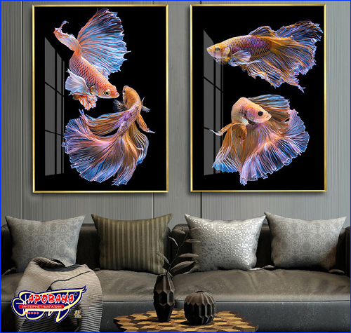 Сочетание картин Betta fish в интерьере. Картина Betta fish, 40х60 см, петушок вуалевый мультиколор.