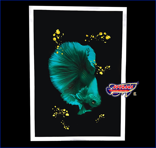  Betta fish, 4059.3 ,   .