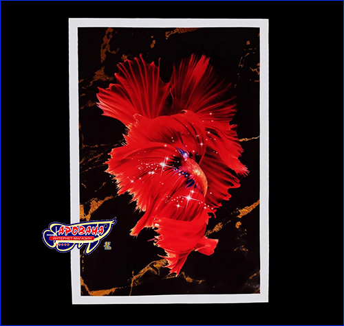  Betta fish, 4059.3 ,   .