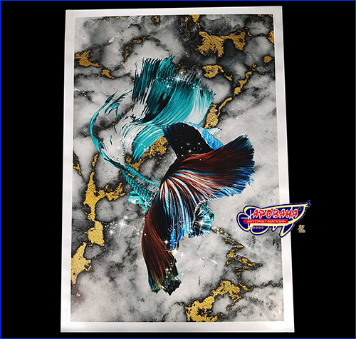 Картина Betta fish, 40х59.3 см, петушок длиннохвостый голубой.