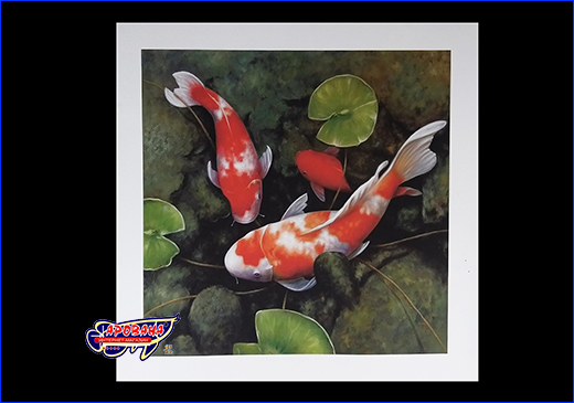  Koi, 3030 ,   .