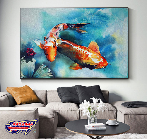  Koi, 6080 ,   .