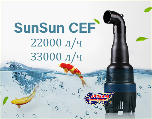 Серия прудовых насосов SunSun CEF. Новинка! Прудовые насосы SunSun CEF.