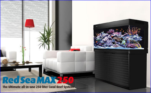 Red Sea Max 250, -   .