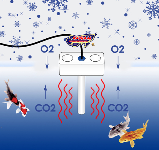 Как происходит обогрев пруда с Schego Pond Heater 200 Вт. Нагреватель Schego Pond Heater для пруда, 200 Вт.