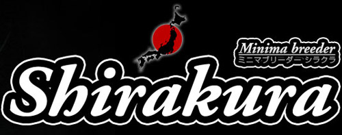 Takayuki Shirakura ( )