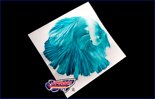 Виниловая наклейка Betta fish, 12.5х13 см.