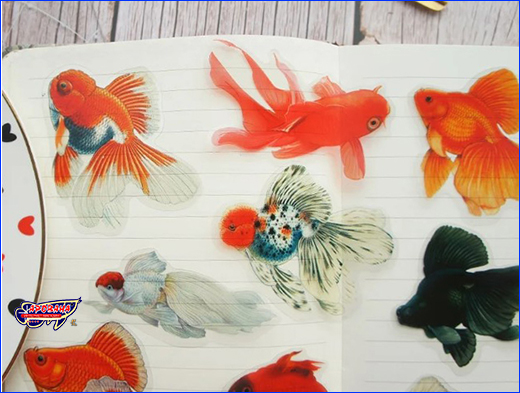  , Goldfish Butterfly, 10 .