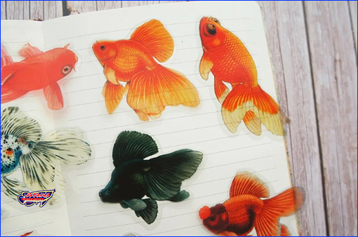  , Goldfish Butterfly, 10 .