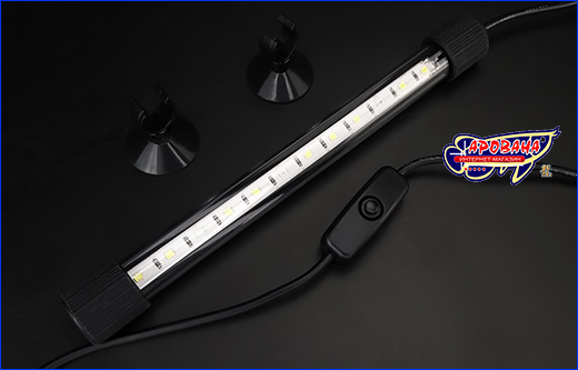   SunSun ADQ-200W, White/Blue, 3 , 20.5 .