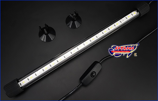   SunSun ADQ-280W, White/Blue, 4 , 28.5 .