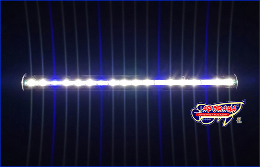   SunSun ADQ-280W, White/Blue, 4 , 28.5 .