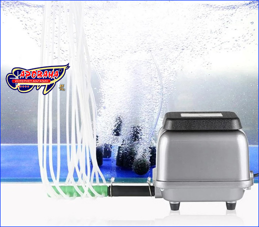 Аэратор SunSun HJB-120 в работе. Компрессор SunSun HJB-120, 120 л/мин.