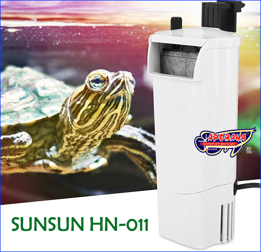 !   SunSun  .