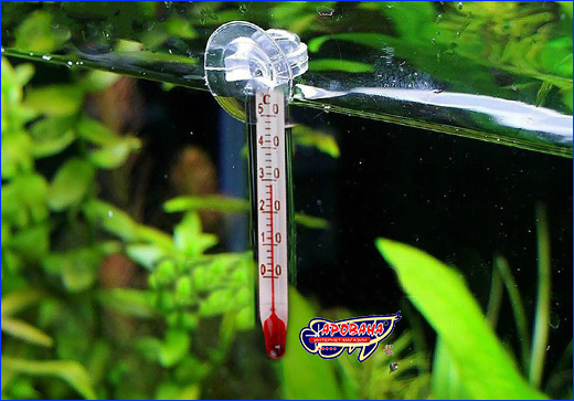  SunSun WDJ-01, 0-50°, 7 .