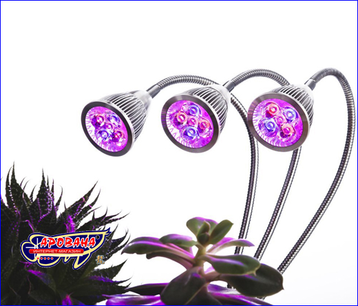   AQUAXER Led Grow 15 W
