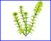 Растение искусственное, Tetra Ambulia  5 см.