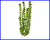 Растение искусственное, Tetra Green Cabomba 46 см.