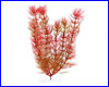 Растение искусственное, Tetra Red Foxtail 23 см.