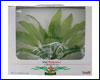 Растение искусственное, Tetra Amazonas 14 см. Растение искусственное, Tetra Amazonas 14 см.