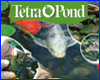 Справочник Tetra "Водоросли в садовом пруду"