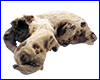 Коряга Trixie, №8982-B5, мопани средняя, 26/18 см. Коряга Trixie, №8982-B5, мопани средняя, 26/18 см.