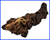 Коряга Trixie, №8981-A3, мопани малая, 20/12 см. Коряга Trixie, №8981-A3, мопани малая, 20/12 см.