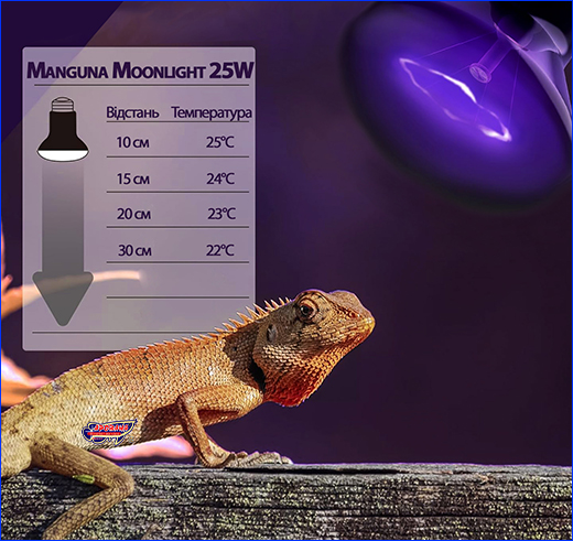 ͳ   , Terrario Manguna Moonlight Lamp, 25W.