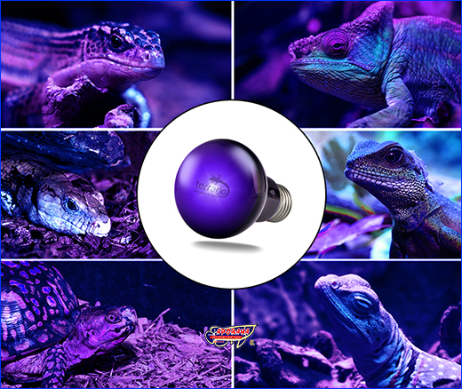 ͳ   , Terrario Manguna Moonlight Lamp, 25W.