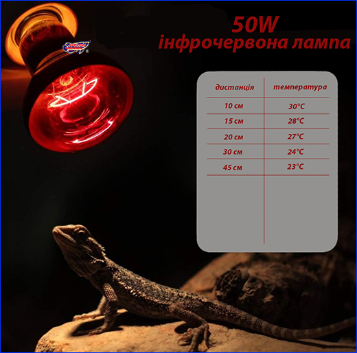   , Terrario Nangola Red Night Light, 50W.