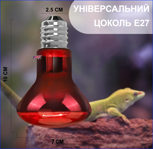   , Terrario Nangola Red Night Light, 50W.