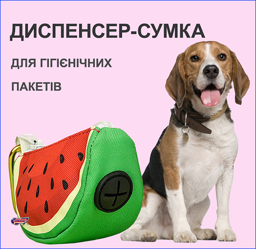 -  㳺 ,  , .