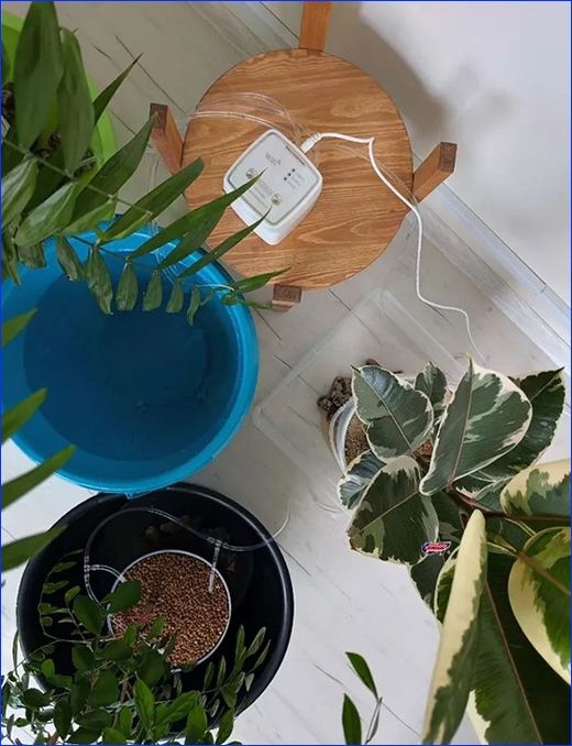   , WIFI Smart Watering.