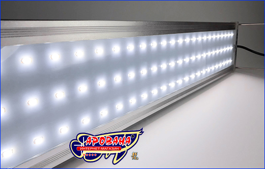  Xilong LED 100R, 35 .