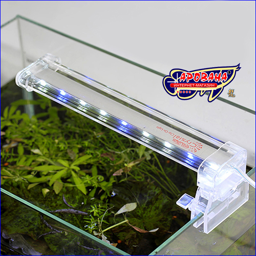  Xilong Crystal Led-D20, 6 .