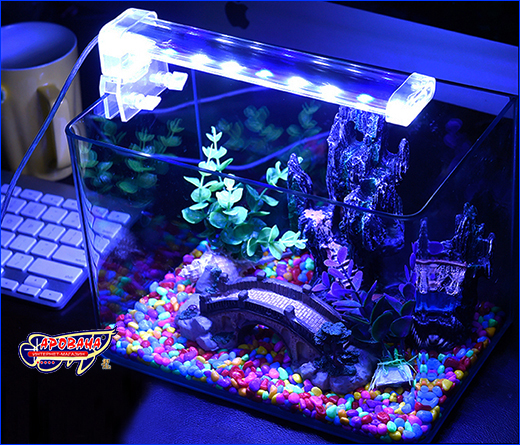  Xilong Crystal Led-D20, 6 .