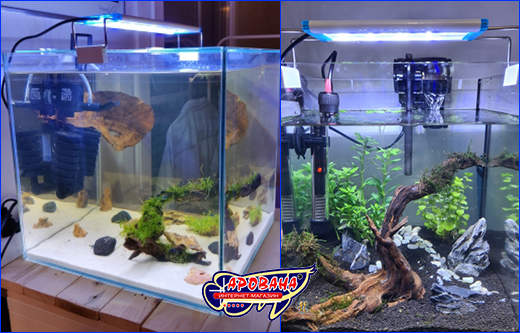  Xilong LED-MS20, 5 .