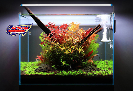  Xilong LED-MS30, 8 .